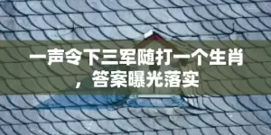 一声令下三军随打一个生肖，答案曝光落实