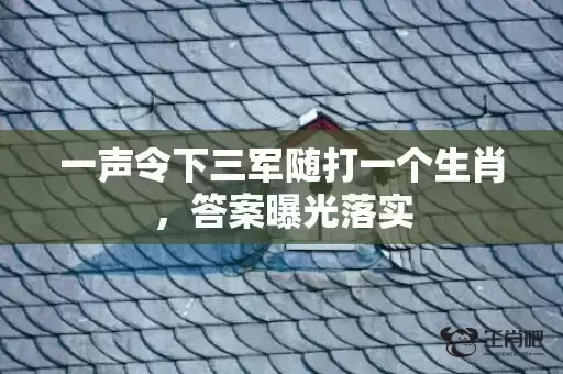 一声令下三军随打一个生肖，答案曝光落实
