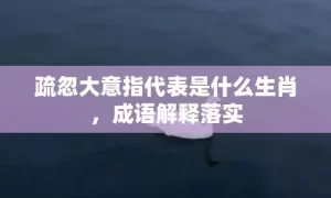 疏忽大意指代表是什么生肖，成语解释落实