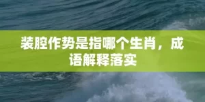 装腔作势是指哪个生肖，成语解释落实