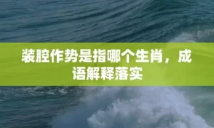 装腔作势是指哪个生肖，成语解释落实