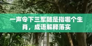 一声令下三军随是指哪个生肖，成语解释落实