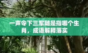 一声令下三军随是指哪个生肖，成语解释落实