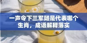 一声令下三军随是代表哪个生肖，成语解释落实