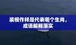 装模作样是代表哪个生肖，成语解释落实