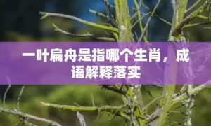 一叶扁舟是指哪个生肖，成语解释落实