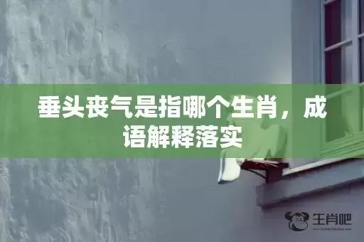 垂头丧气是指哪个生肖，成语解释落实