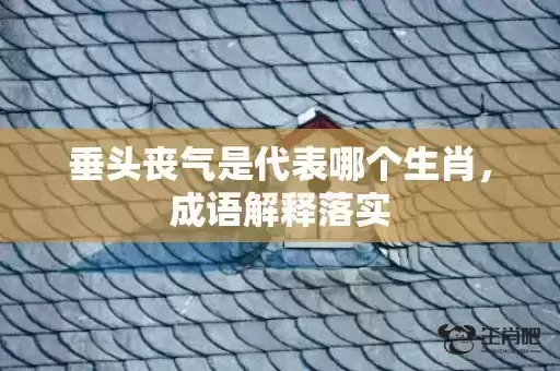 垂头丧气是代表哪个生肖，成语解释落实