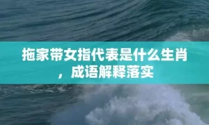 拖家带女指代表是什么生肖，成语解释落实