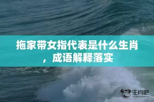 拖家带女指代表是什么生肖，成语解释落实