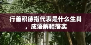 行善积德指代表是什么生肖，成语解释落实