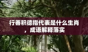 行善积德指代表是什么生肖，成语解释落实