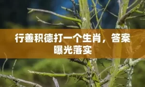 行善积德打一个生肖，答案曝光落实