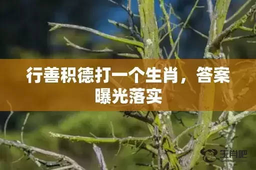 行善积德打一个生肖，答案曝光落实