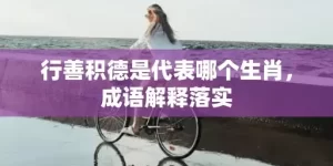 行善积德是代表哪个生肖，成语解释落实