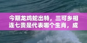 今期龙鸡蛇出特，三可乡相连七贵是代表哪个生肖，成语解释落实