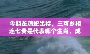 今期龙鸡蛇出特，三可乡相连七贵是代表哪个生肖，成语解释落实