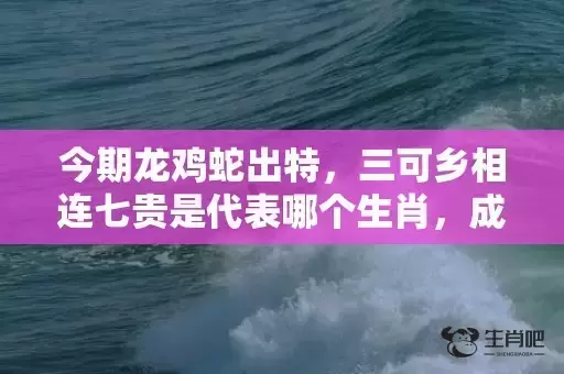 今期龙鸡蛇出特，三可乡相连七贵是代表哪个生肖，成语解释落实