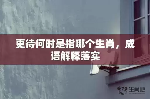 更待何时是指哪个生肖，成语解释落实