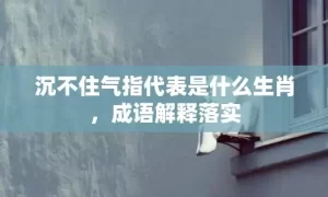 沉不住气指代表是什么生肖，成语解释落实