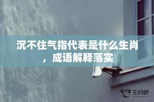 沉不住气指代表是什么生肖，成语解释落实