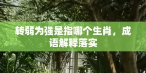 转弱为强是指哪个生肖，成语解释落实