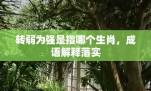 转弱为强是指哪个生肖，成语解释落实