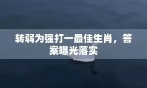 转弱为强打一最佳生肖，答案曝光落实