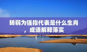 转弱为强指代表是什么生肖，成语解释落实