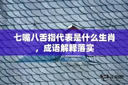 七嘴八舌指代表是什么生肖，成语解释落实