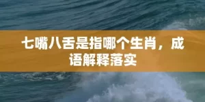 七嘴八舌是指哪个生肖，成语解释落实