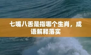 七嘴八舌是指哪个生肖，成语解释落实