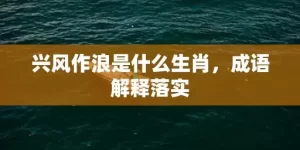 兴风作浪是什么生肖，成语解释落实