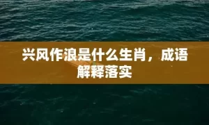 兴风作浪是什么生肖，成语解释落实