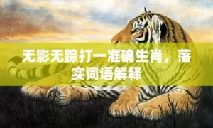 无影无踪打一准确生肖，落实词语解释