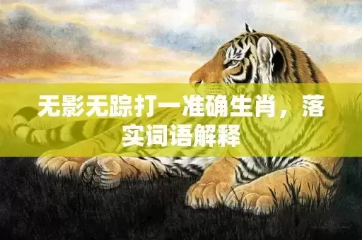 无影无踪打一准确生肖,落实词语解释 无影无踪打一准确生肖,落实词语解释