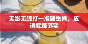 无影无踪打一准确生肖，成语解释落实