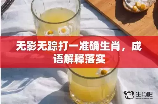 无影无踪打一准确生肖，成语解释落实