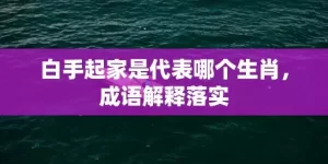 白手起家是代表哪个生肖，成语解释落实