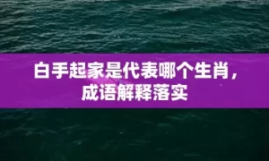 白手起家是代表哪个生肖，成语解释落实