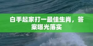 白手起家打一最佳生肖，答案曝光落实