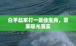 白手起家打一最佳生肖，答案曝光落实