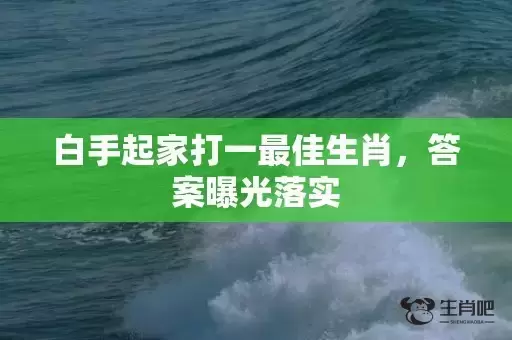 白手起家打一最佳生肖，答案曝光落实