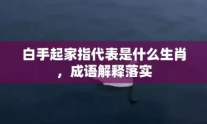 白手起家指代表是什么生肖，成语解释落实