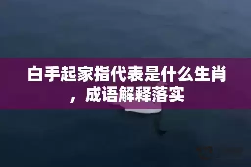 白手起家指代表是什么生肖，成语解释落实