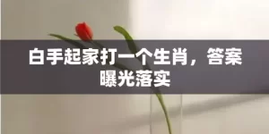 白手起家打一个生肖，答案曝光落实