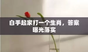 白手起家打一个生肖，答案曝光落实