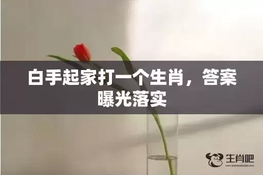 白手起家打一个生肖，答案曝光落实
