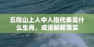 五指山上人中人指代表是什么生肖，成语解释落实