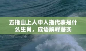 五指山上人中人指代表是什么生肖，成语解释落实